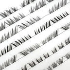 Lash Style & Length Guide