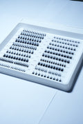 Strip Lashes Collection