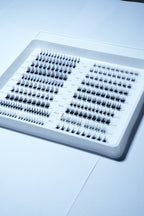 Strip Lashes Collection